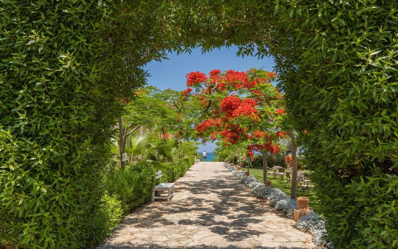 /api/cms/uploads/CAESAR_BAY_RESORT_02_71a0bbf82f.jpg