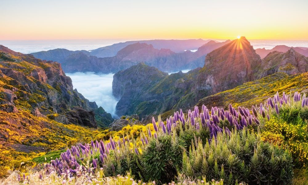 /api/cms/uploads/Madeira33434633_min_270cc0d4ec.jpg