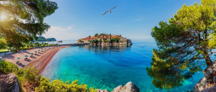 Montenegro.jpeg