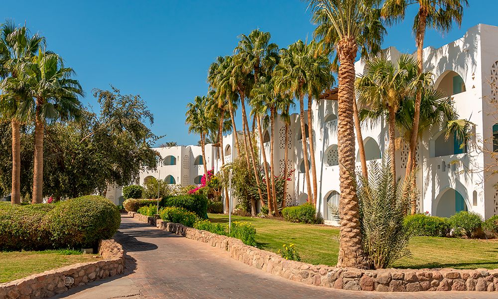 /api/cms/uploads/egypt_hotel_aa802b46fe.jpg